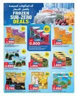 Gulf Mart offers in Alshwykh from 21 to 23 September 2026 Frozen Sub Zero Deals - Page 11