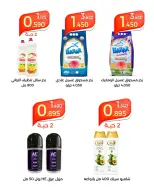 Al Shaab co-op offers from 21 to 23 September 2026 Al Shaab coop Festival - Page 14