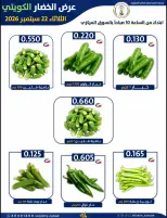 عروض جمعية صباح الناصر التعاونية الثلاثاء ٢٢ سبتمبر ٢٠٢٦ عرض الخضار والفواكه - صفحة 5