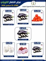 عروض جمعية صباح الناصر التعاونية الثلاثاء ٢٢ سبتمبر ٢٠٢٦ عرض الخضار والفواكه - صفحة 6