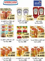 Al Masayel co-op offers from 23 to 30 September 2026 September Sale - Page 13