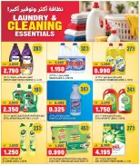 Oncost Express Kuwait offers from 24 to 26 September 2026 Laundry & Cleaning Essentials - Page 2