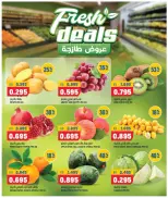 Oncost Express Kuwait offers from 24 to 26 September 2026 Laundry & Cleaning Essentials - Page 5