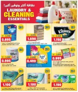 Oncost Express Kuwait offers from 24 to 26 September 2026 Laundry & Cleaning Essentials - Page 4