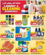 Oncost Express Kuwait offers from 24 to 26 September 2026 Laundry & Cleaning Essentials - Page 3