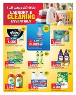 Gulf Mart offers in Alshwykh from 24 to 26 September 2026 Laundry & Cleaning Essentials - Page 2