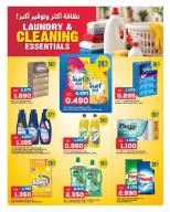 Gulf Mart offers in Alshwykh from 24 to 26 September 2026 Laundry & Cleaning Essentials - Page 4