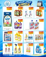 Offres Coop Shamieh de 24 à 29 septembre 2026 Soldes exclusives de septembre - Page 12