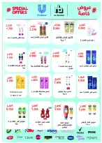 Abo Halifa co-op offers from 24 to 28 September 2026 September Festival - Page 31