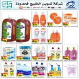 Fintas co-op Kuwait offers from 24 to 30 September 2026 September Festival - Page 24