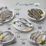 عروض النهضة المصرية بفرع أبوظبي من ٢٥ سبتمبر حتى ١ أكتوبر ٢٠٢٦ العروض الأسبوعية - صفحة 8