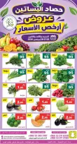 عروض حصاد البساتين السعودية من ١٣ حتى ١٥ ربيع الآخر ١٤٤٨ هـ (٢٦ إلى ٢٨ سبتمبر ٢٠٢٦) أرخص الأسعار - صفحة 4
