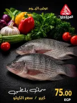 عروض المحلاوى ماركت من ٢٦ سبتمبر حتى ١ أكتوبر ٢٠٢٦ عروض الخضار والفواكه - صفحة 14