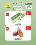 عروض الراية ماركت السعودية من ١٤ حتى ١٦ ربيع الآخر ١٤٤٨ هـ (٢٧ إلى ٢٩ سبتمبر ٢٠٢٦) عروض بداية الأسبوع - صفحة 3
