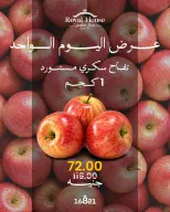 عروض رويال هاوس مصر الثلاثاء ٢٩ سبتمبر ٢٠٢٦ عرض اليوم الواحد - صفحة 1