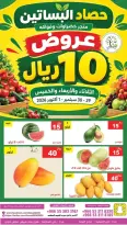عروض حصاد البساتين السعودية من ١٦ حتى ١٨ ربيع الآخر ١٤٤٨ هـ (٢٩ سبتمبر إلى ١ أكتوبر ٢٠٢٦) فقط 10 ريال - صفحة 2