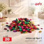 Ofertas de Raneen de 1 a 3 octubre 2026 Ofertas de Regalos y Decoraciones - Página 29