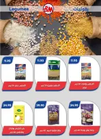 Bassem Market offers in Cairo from 1 to 18 October 2026 Back to School Deals - Page 53