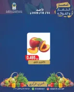 Hadiya co-op Kuwait offers Sunday 4 October 2026 Vegetable and fruit offer - Page 5