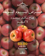 عروض رويال هاوس مصر الثلاثاء ٦ أكتوبر ٢٠٢٦ عرض اليوم الواحد - صفحة 2