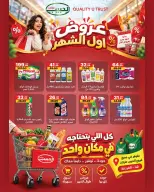 عروض الحبيب ماركت مصر من ٥ حتى ١١ أكتوبر ٢٠٢٦ عروض أول الشهر - صفحة 3