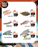 عروض عرفة ماركت بفرع الفيوم من ٧ حتى ٨ أكتوبر ٢٠٢٦ عروض حلقة السمك - صفحة 4