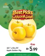 عروض تعاونية عجمان من ٨ حتى ١٤ أكتوبر ٢٠٢٦ العروض الطازجة - أفضل الاختيارات - صفحة 9