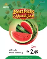 عروض تعاونية عجمان من ٨ حتى ١٤ أكتوبر ٢٠٢٦ العروض الطازجة - أفضل الاختيارات - صفحة 8