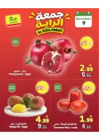 Al Rayah Market Saudi Arabia offers Friday، 26 Rabiʻ II 1448 (Friday 9 October 2026) Juma Al Raya Offers - Page 6