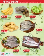 عروض لولو بفروع الحيل ,السيب من ٨ حتى ١١ أكتوبر ٢٠٢٦ التوفيرات - صفحة 2