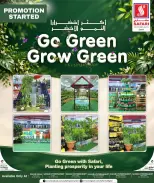 عروض سفارى هايبر ماركت قطر السبت ١٠ أكتوبر ٢٠٢٦ أسعار اليوم - صفحة 5
