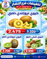 عروض جمعية اليرموك التعاونية الاثنين ١٢ أكتوبر ٢٠٢٦ تخفيضات الخضار والفواكه - صفحة 2
