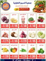 عروض جمعية النسيم التعاونية الثلاثاء ١٣ أكتوبر ٢٠٢٦ مهرجان الخضار والفواكه - صفحة 3