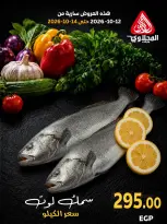 عروض المحلاوى ماركت من ١٢ حتى ١٤ أكتوبر ٢٠٢٦ مهرجان الأسماك - صفحة 8