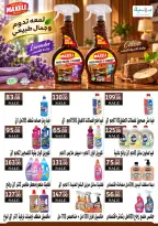 عروض المحلاوى ماركت من ٨ حتى ٢٥ أكتوبر ٢٠٢٦ املأ عربيتك ووفر فى ميزانيتك - صفحة 33