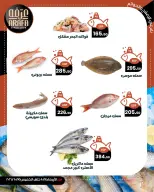 Arafa market offers in Fayoum from 14 to 15 October 2026 Fish Sale - Page 4