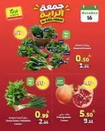 Al Rayah Market Saudi Arabia offers Friday، 4 Jumada I 1448 (Friday 16 October 2026) Juma Al Raya Offers - Page 6