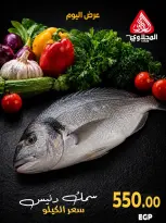عروض المحلاوى ماركت من ١٥ حتى ١٦ أكتوبر ٢٠٢٦ عروض نهاية الأسبوع - صفحة 18