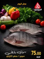 عروض المحلاوى ماركت من ١٥ حتى ١٦ أكتوبر ٢٠٢٦ عروض نهاية الأسبوع - صفحة 13