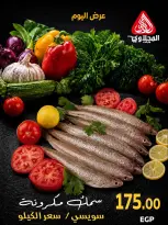 عروض المحلاوى ماركت من ١٥ حتى ١٦ أكتوبر ٢٠٢٦ عروض نهاية الأسبوع - صفحة 14