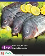 Offres Lulu Alqdybyh, Muharraq, Manama mercredi 21 octobre 2026 Offres exclusives - Page 4