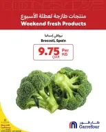 عروض كارفور قطر من ٢٢ حتى ٢٤ أكتوبر ٢٠٢٦ منتجات طازجة لعطلة نهاية الأسبوع - صفحة 4