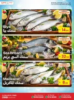 عروض السوق البلدي قطر من ٢٢ حتى ٢٤ أكتوبر ٢٠٢٦ صفقات نهاية الأسبوع - صفحة 5
