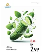 Ajman Coop offers from 22 to 28 October 2026 Fresh Deals - Page 10