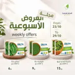 عروض النهضة المصرية بفرع أبوظبي من ٢٣ حتى ٢٩ أكتوبر ٢٠٢٦ العروض الأسبوعية - صفحة 1
