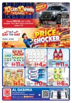 Day to Day UAE offers from 25 to 31 October 2026 Price shocker - Page 1