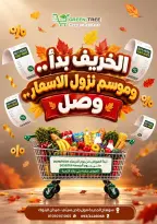 عروض جرين ترى بفرع سوهاج من ٢٨ أكتوبر حتى ٦ نوفمبر ٢٠٢٦ عروض موسم نزول الأسعار - صفحة 1