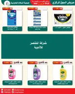 عروض جمعية السلام التعاونية من ٢٩ حتى ٣٠ أكتوبر ٢٠٢٦ عروض السوق المركزى - صفحة 13