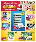 Oncost Kuwait offers from 29 to 31 October 2026 Laundry & Cleaning Essentials - Page 7