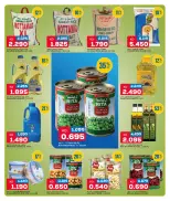 Oncost Kuwait offers from 29 to 31 October 2026 Laundry & Cleaning Essentials - Page 5